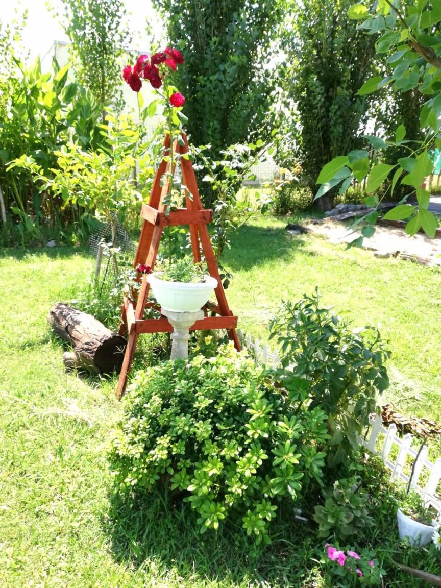 Liguria Holiday home *